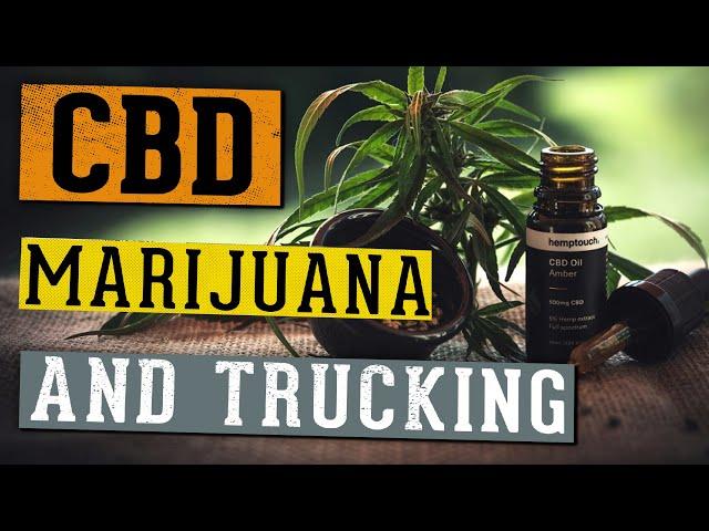 Essential CBD and Marijuana Law Guidance for Truck Drivers